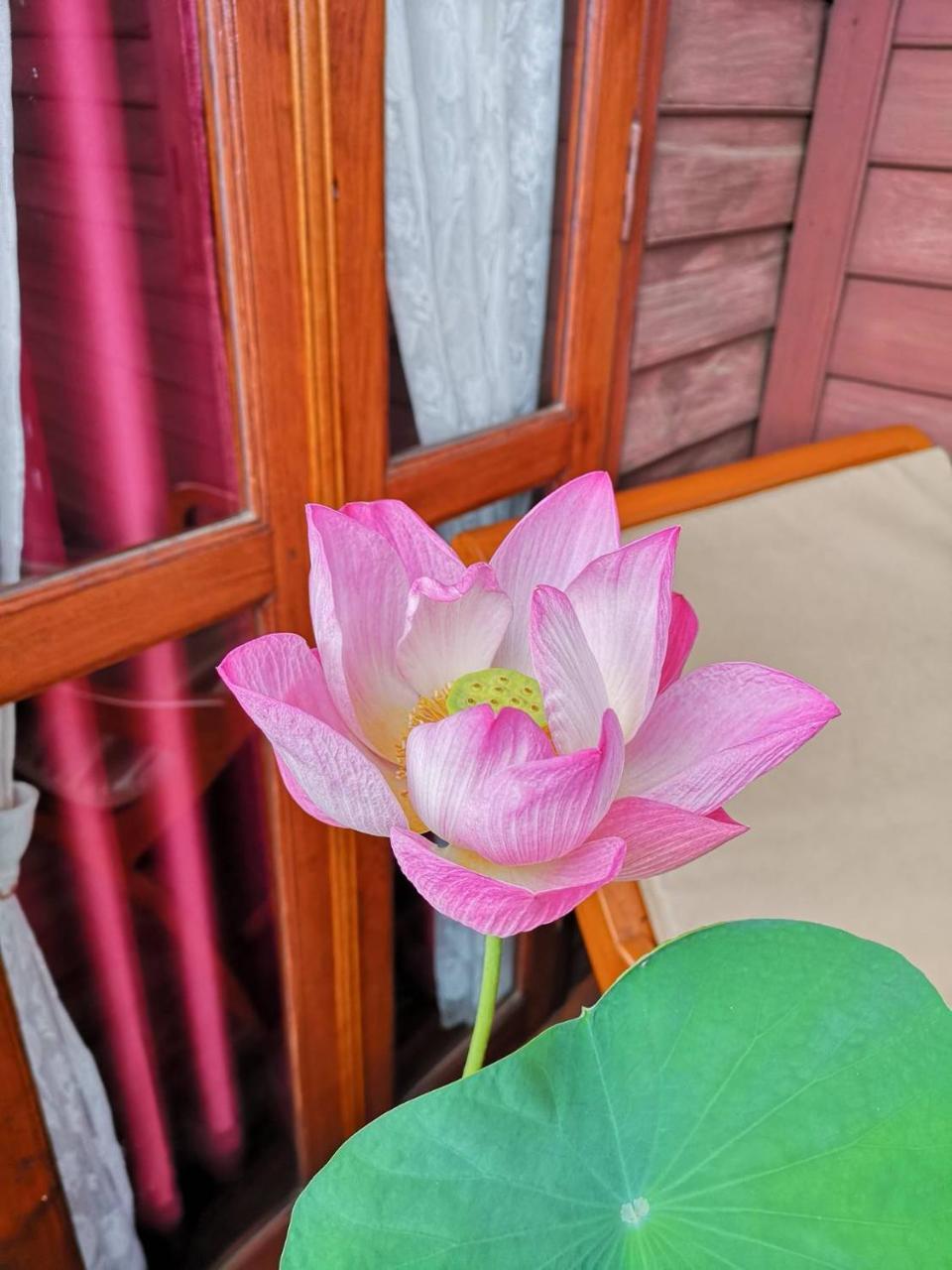 Baan Sithepaban Guesthouse 피차눌로크 외부 사진