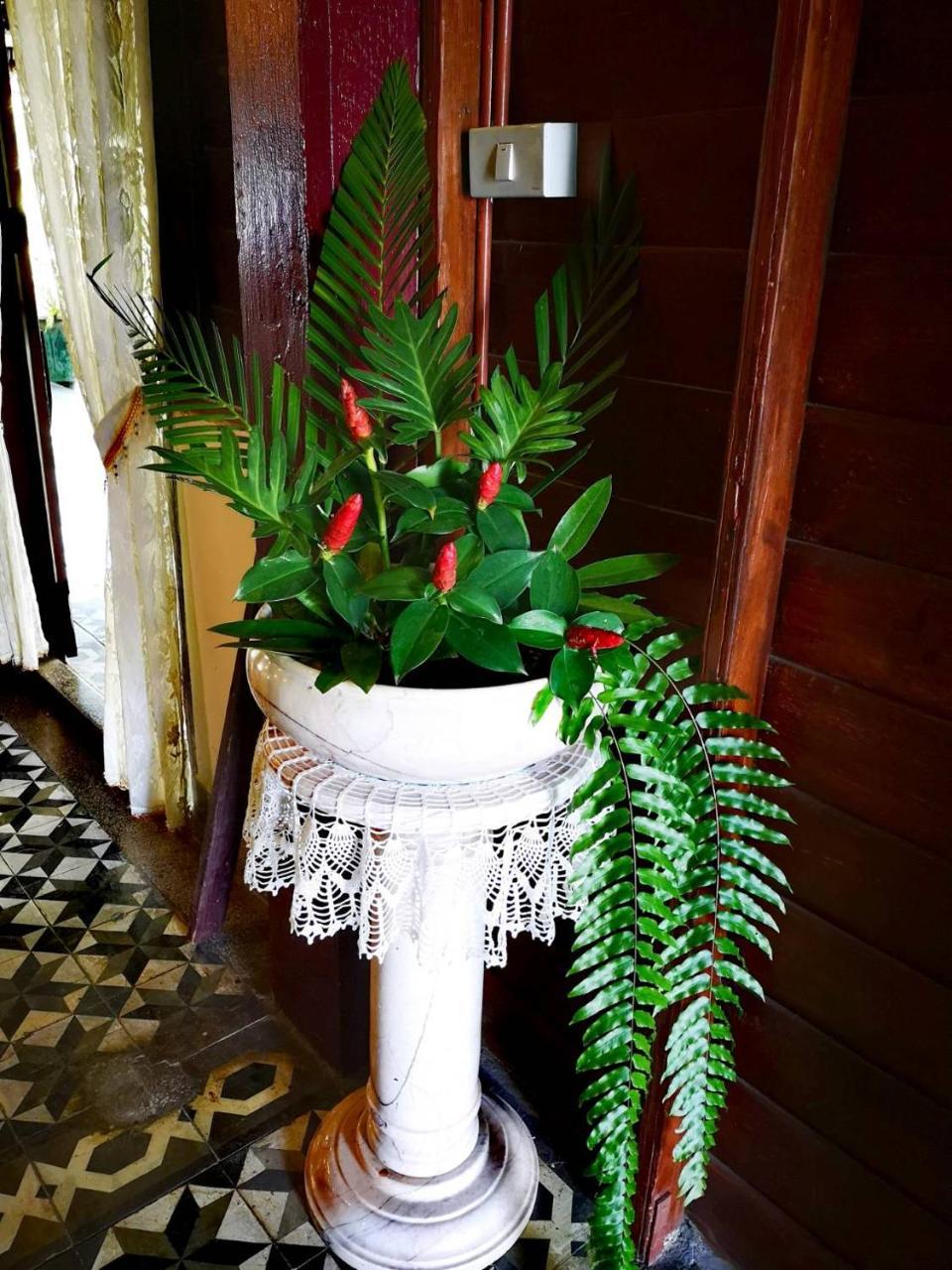 Baan Sithepaban Guesthouse 피차눌로크 외부 사진